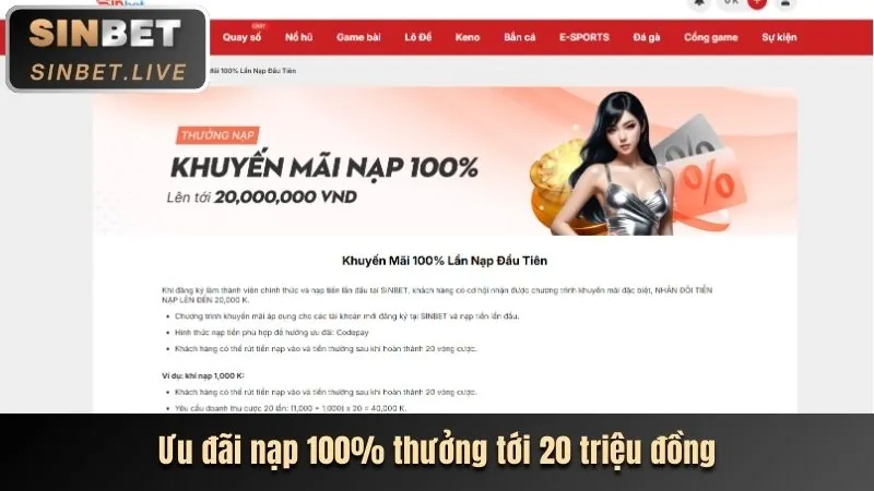 Ưu Đãi và Phần Thưởng Hấp Dẫn